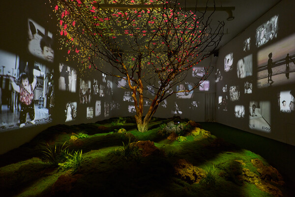 'forget me not' 포도뮤지엄의 모습이다.